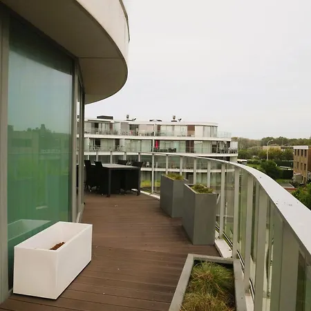 Odyssea Ii 0203 ברדנה